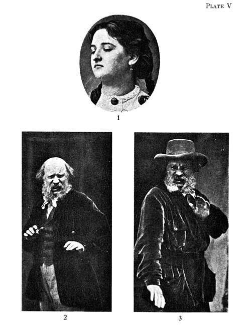Darwin 1872: expression plates