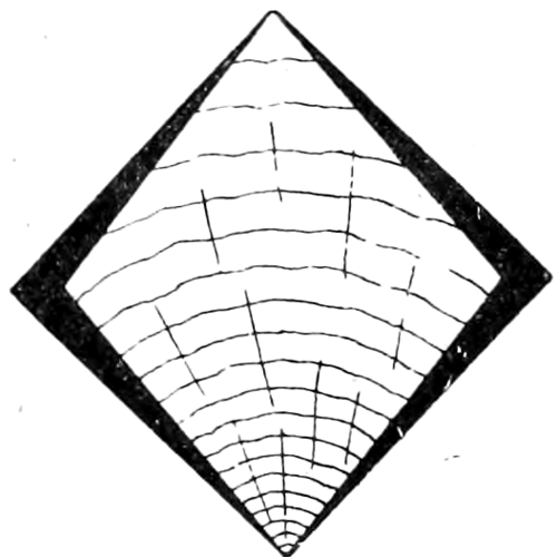 Square near pith dries to diamond (T > R)